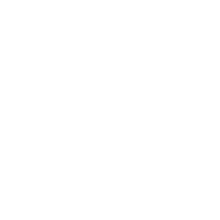 The American Revolution Institute