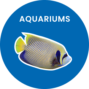 Aquariums