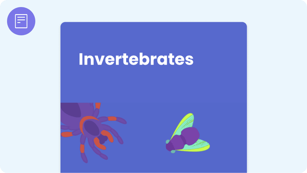 Invertebrates