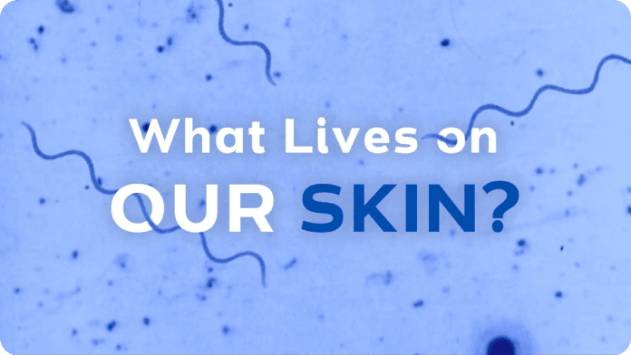 What Lives on Our Skin? video
