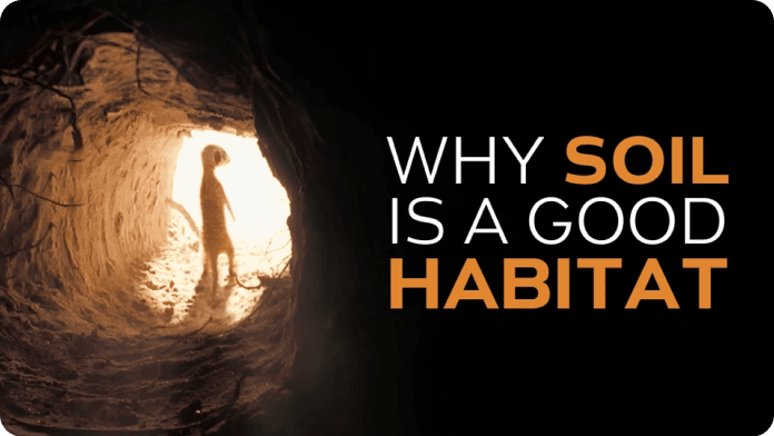 Life Underground video