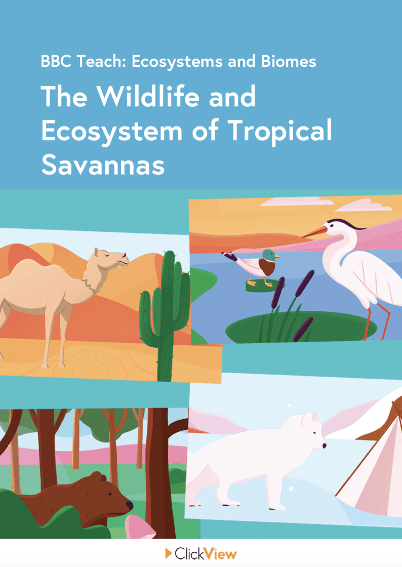 The Wildlife and Ecosystem of Tropical Savannas resource