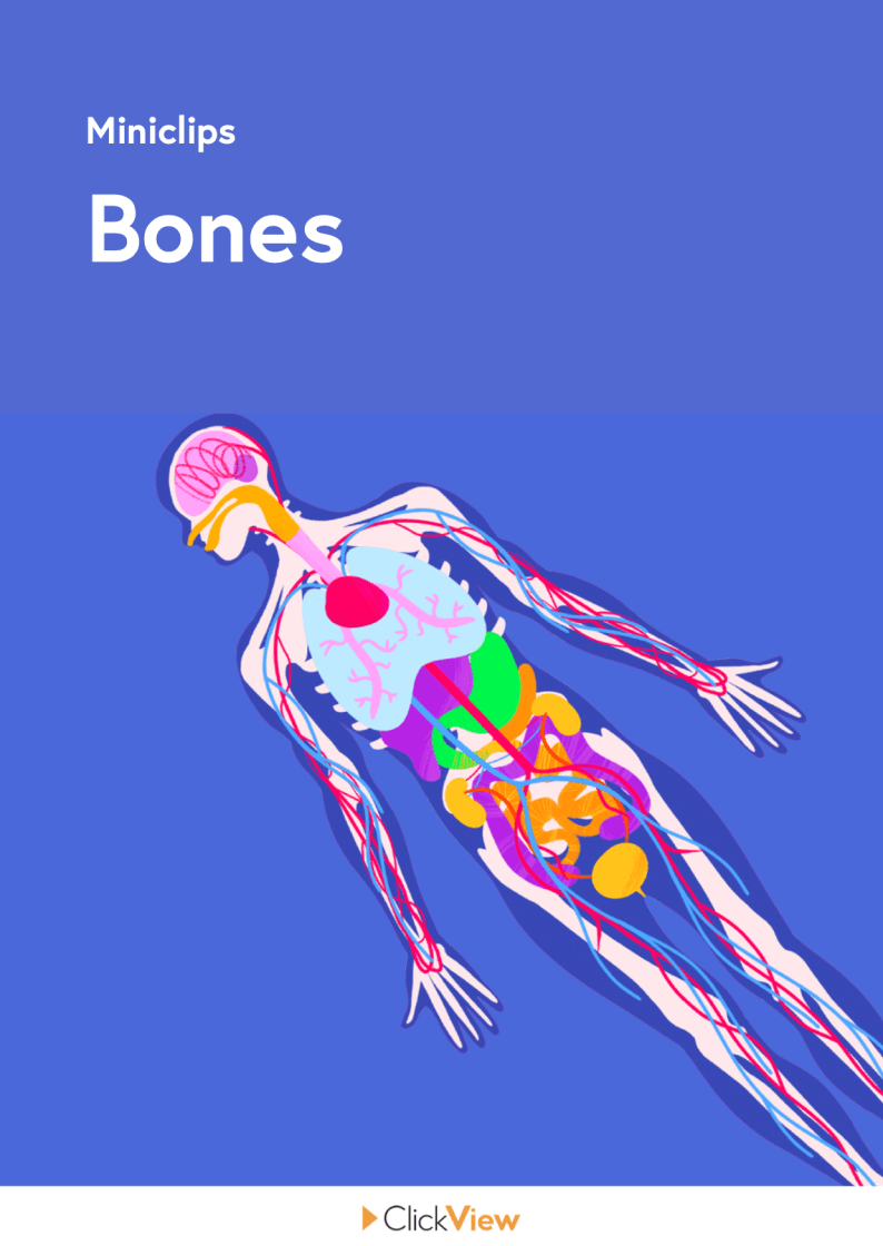 Bones resource