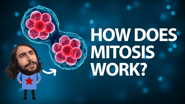 How cells communicate thumnail