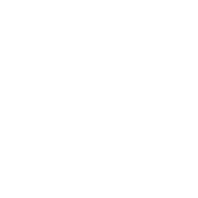 Safari Montage