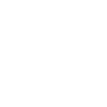 The Fixies