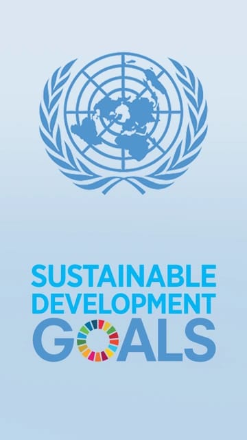 UN Sustainable Development Goals (Junior)