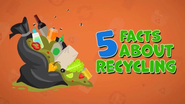 5 Facts About Recycling