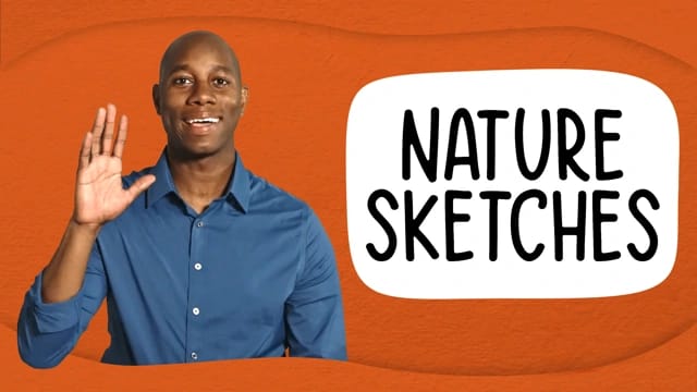 Let’s Look and Sketch