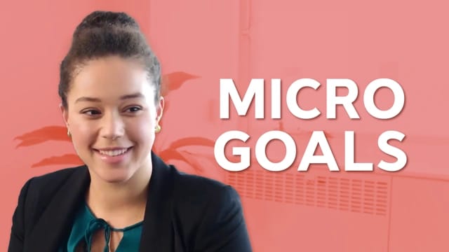 Development Discussions: Micro Goals
