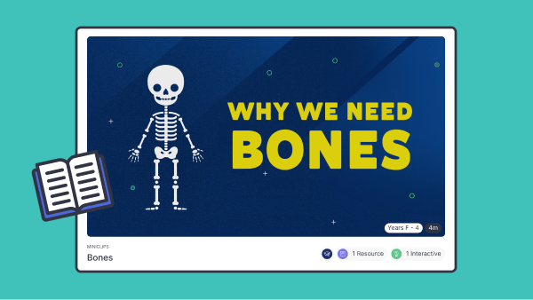 Primary ClickView and NSW Curriculum-Why We Need Bones