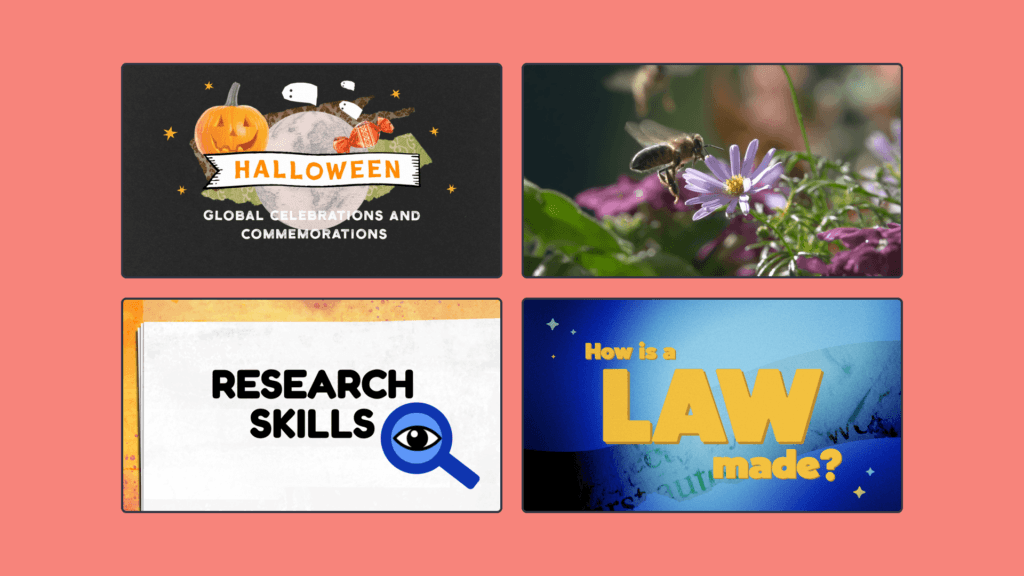 Top 10 highlights primary schools