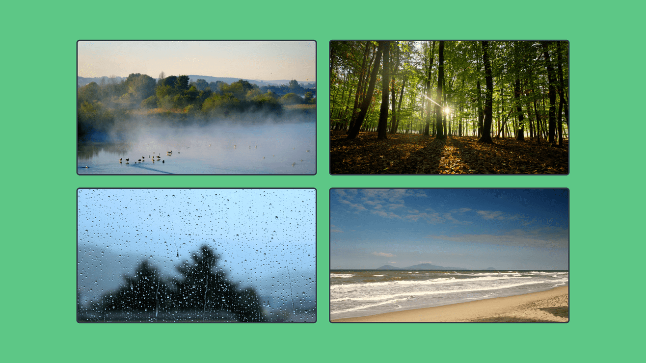 Four rectangles with title images
