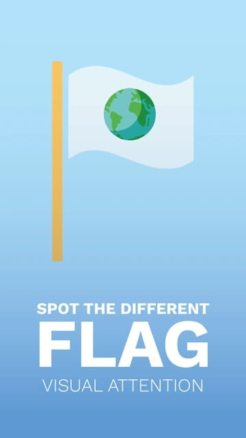 Spot the Different Flag: Visual Attention