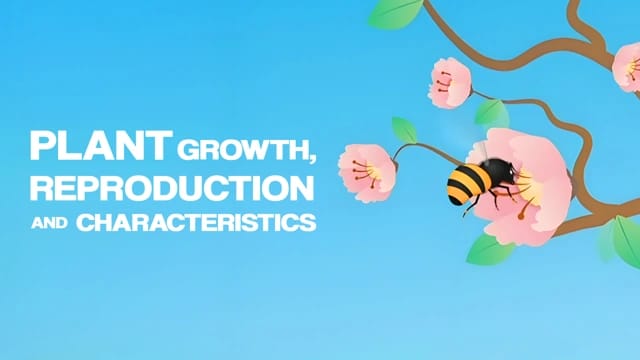 The Characteristics of Plants