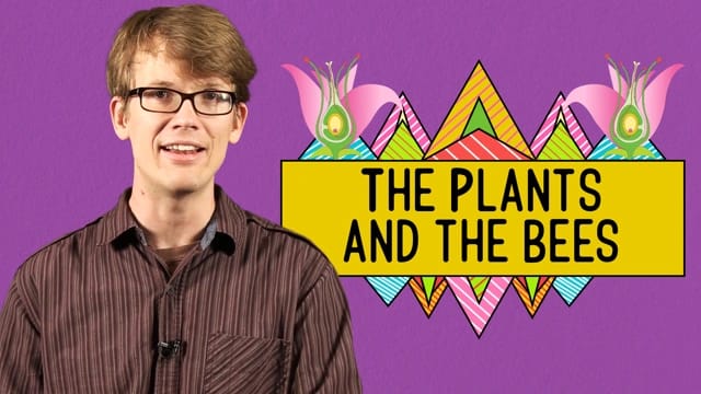 The Plants and the Bees: Plant Reproduction