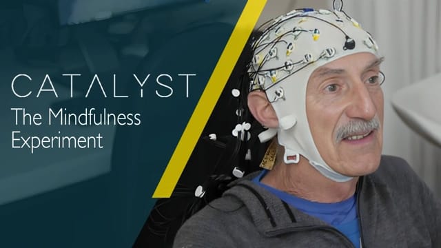 The Mindfulness Experiment