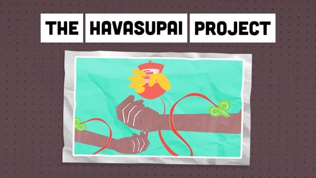 The Havasupai Project