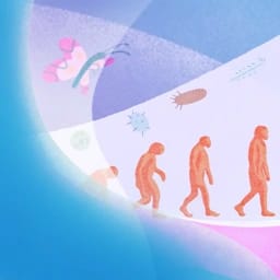 Human and Species Evolution