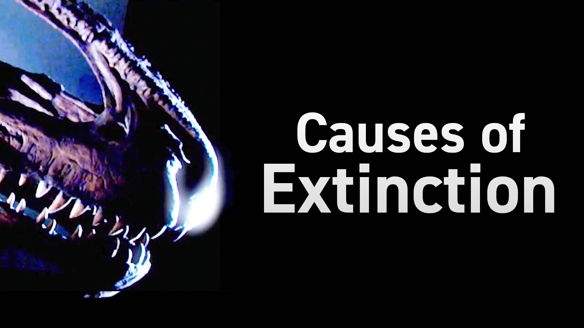 Causes of Extinction video