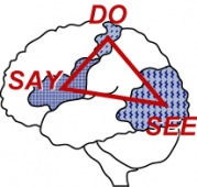 Say, See, Do teaching