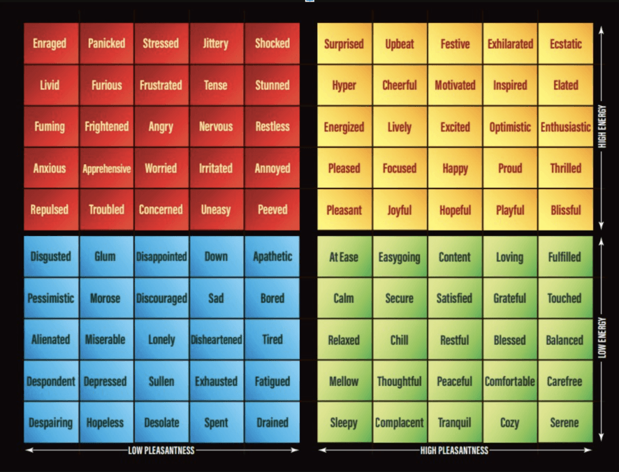 Marc Brackett Mood Meter