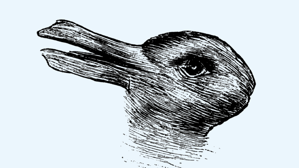 Brain Breaks for Middle School Duck or Rabbit