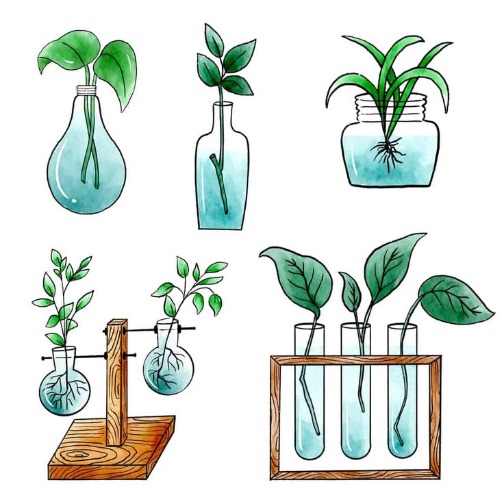 Plant Propagation Stations