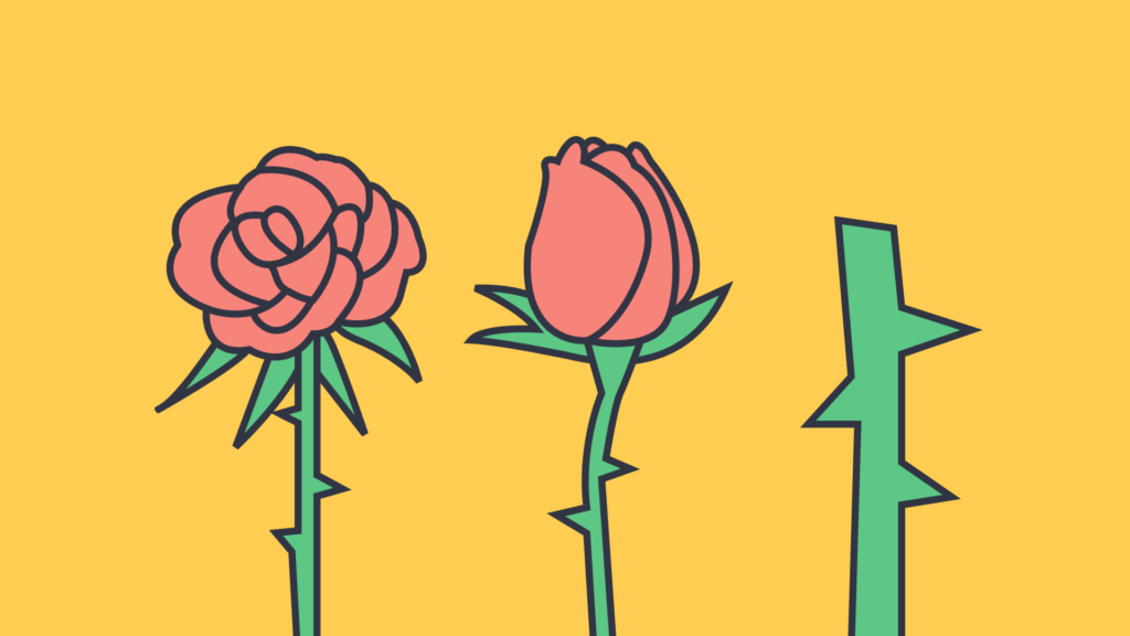 Wrap Up Activities Rose Bud Thorn