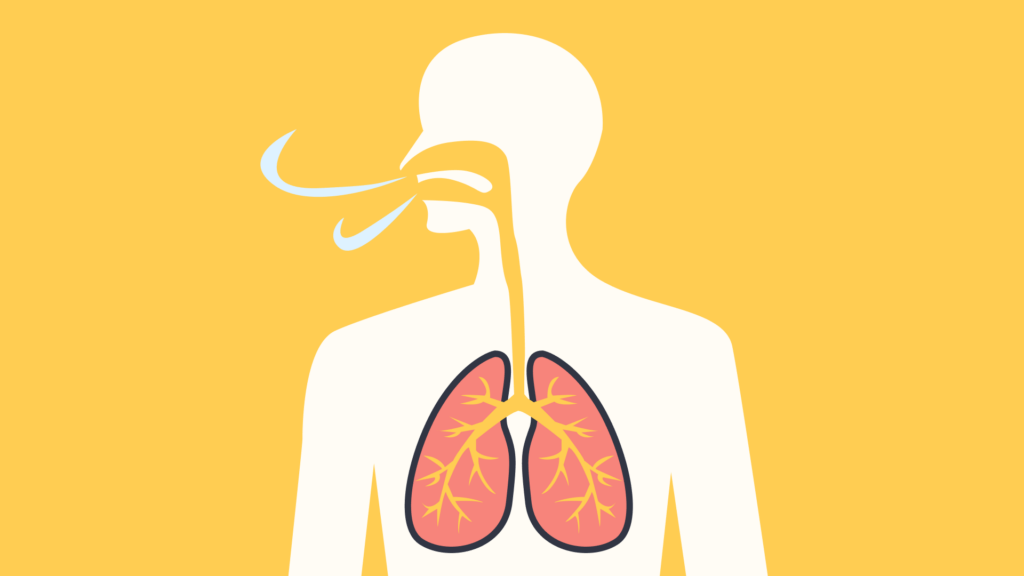 an illustration of a human outline and a pair of lungs showing breathing exercises