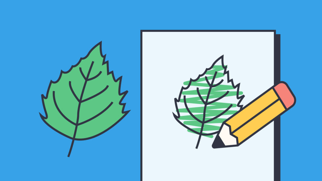 an illustration of a leaf being drawn on a piece of paper with a pencil