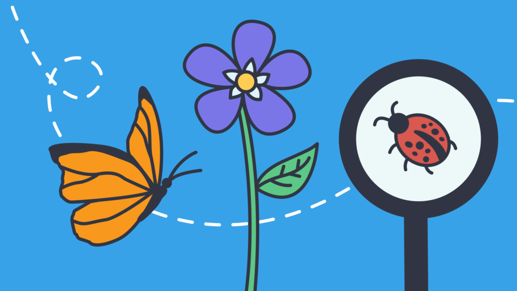 illustrated graphic of insects and flowers under a microscope