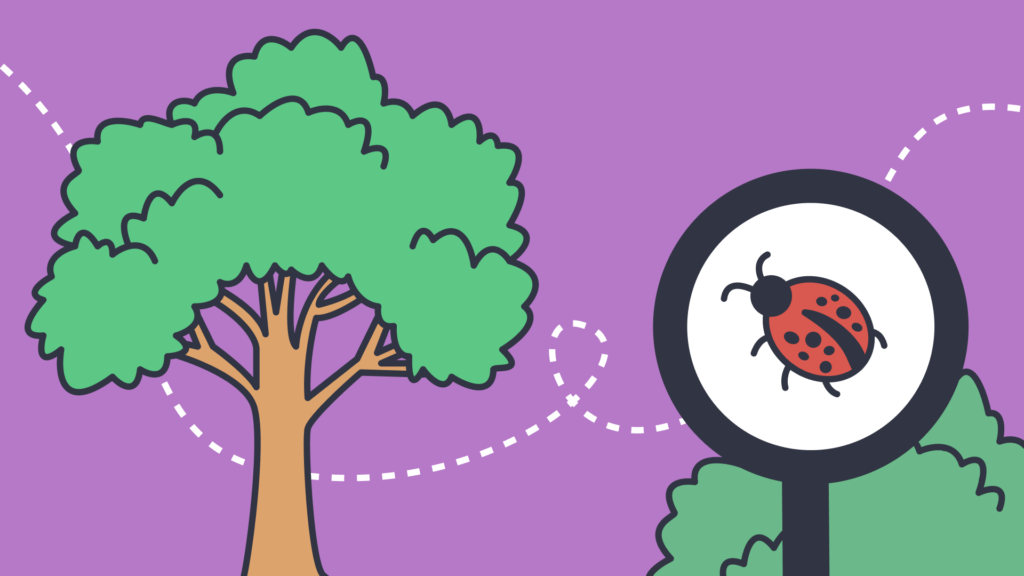 An illustration of a tree and a magnifying glass with a ladybug in the center.