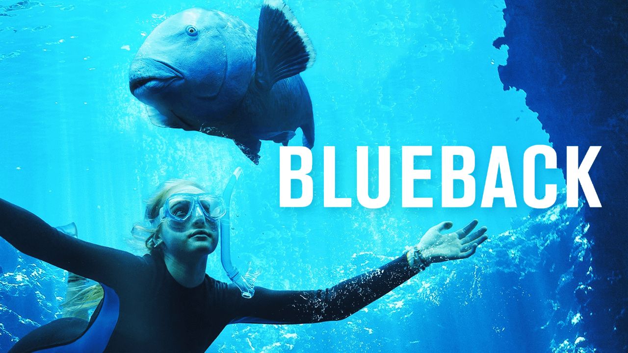 Blueblack - ClickView Video thumbnail